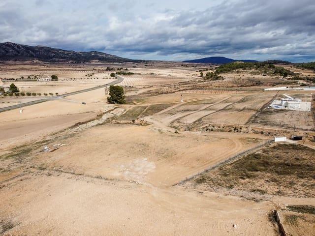 Terreno/Finca Rústica en venta en Torre del Rico, Murcia