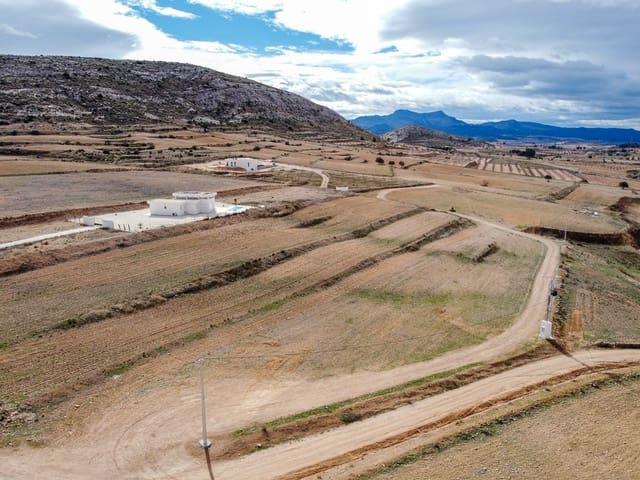 Terreno/Finca Rústica en venta en Torre del Rico, Murcia
