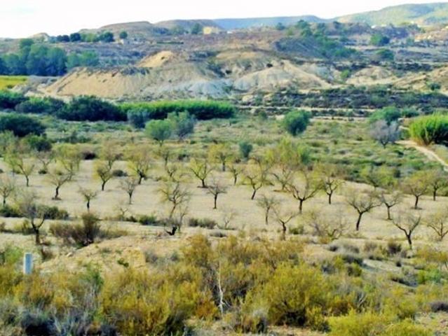 Terreno/Finca Rústica en venta en Torremendo, Alicante