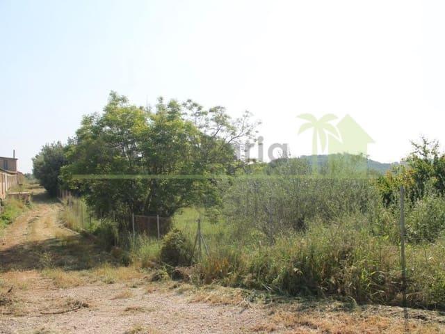 Terreno/Finca Rústica en venta en Traiguera, Castellón