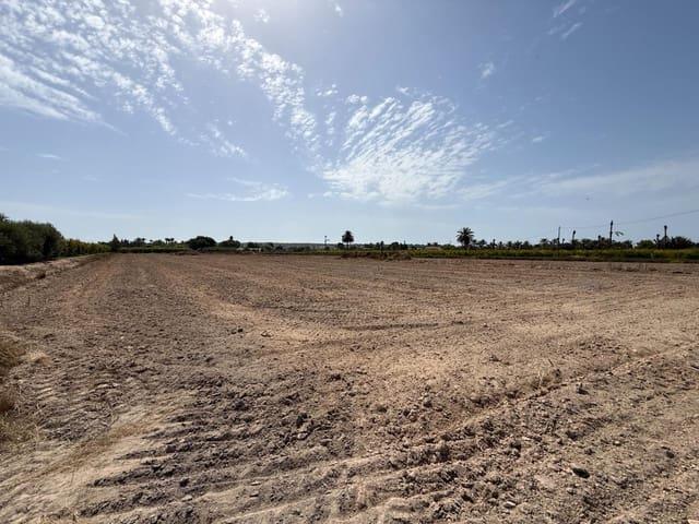 Terreno/Finca Rústica en venta en Valverde, Alicante Costa Blanca
