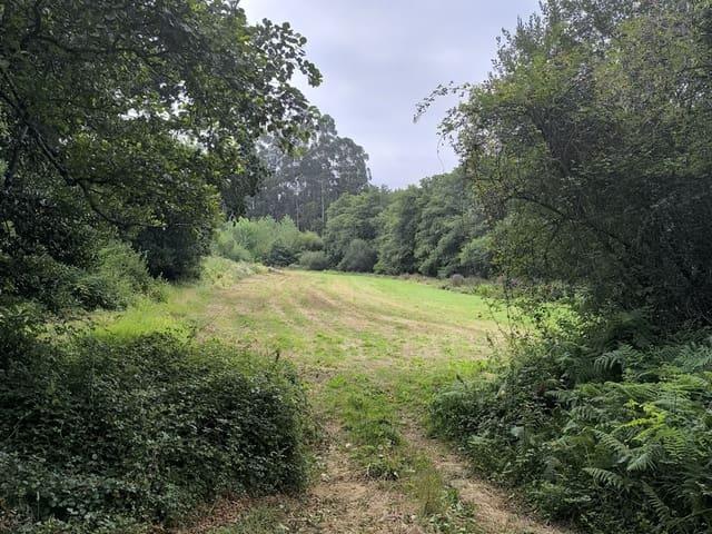 Terreno/Finca Rústica en venta en Valdoviño, A Coruña Rías Altas