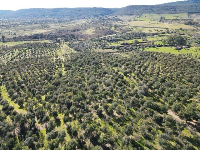 Terreno/Finca Rústica en venta en Valencia de Alcántara, Cáceres