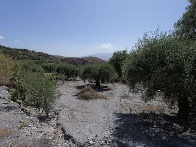 Terreno/Finca Rústica en venta en Válor, Granada