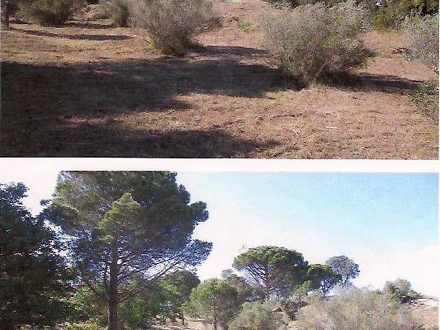 Terreno/Finca Rústica en venta en Vilajuïga, Girona