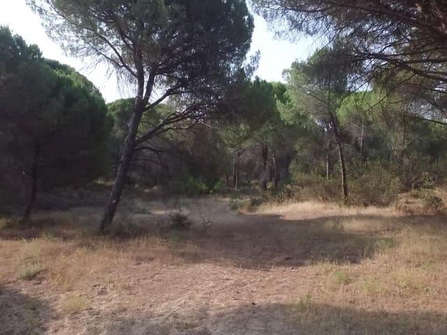 Terreno/Finca Rústica en venta en Villablanca, Huelva