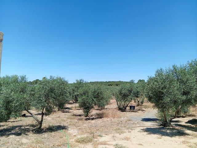 Terreno/Finca Rústica en venta en Villablanca, Huelva