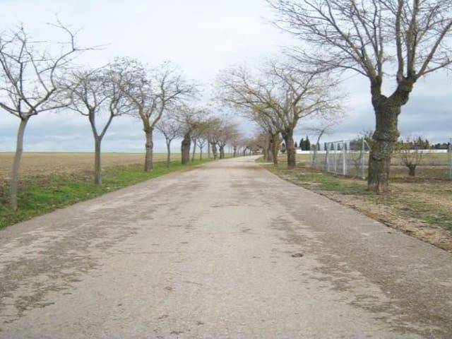 Terreno/Finca Rústica en venta en Villarrubia de Santiago, Toledo