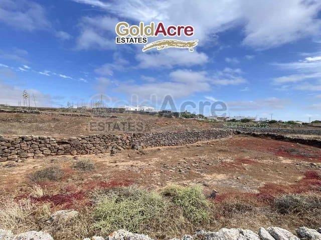 Terreno/Finca Rústica en venta en Villaverde, Fuerteventura