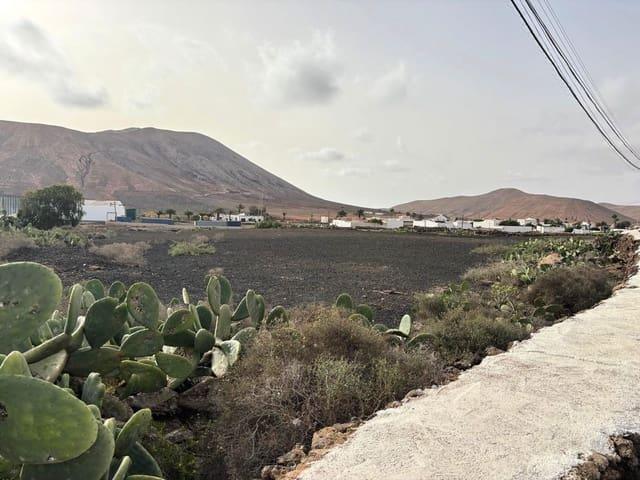 Terreno/Finca Rústica en venta en Villaverde, Fuerteventura