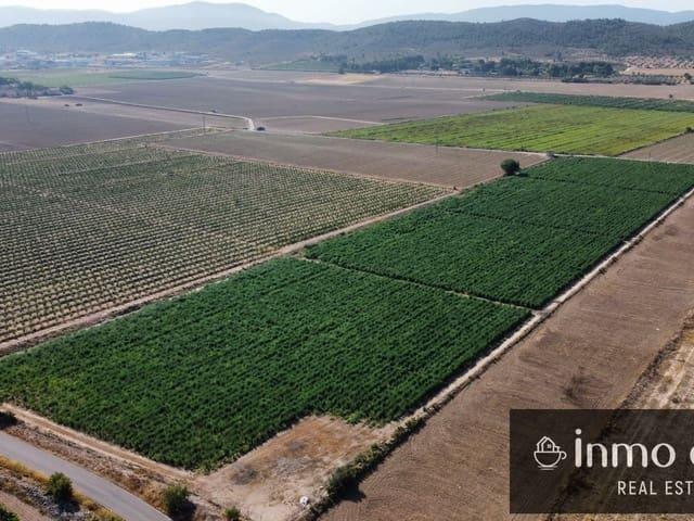 Terreno/Finca Rústica en venta en Villena, Alicante