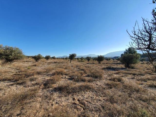 Terreno/Finca Rústica en venta en Villena, Alicante