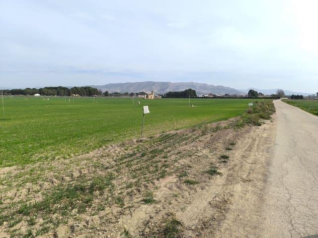 Terreno/Finca Rústica en venta en Villena, Alicante