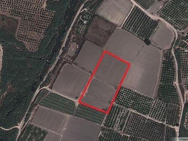 Terreno/Finca Rústica en venta en Xàtiva, Valencia