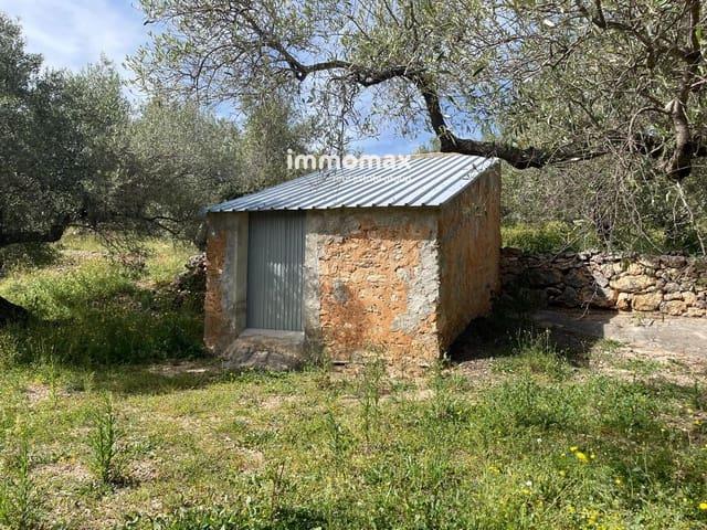 Terreno/Finca Rústica en venta en Xerta, Tarragona