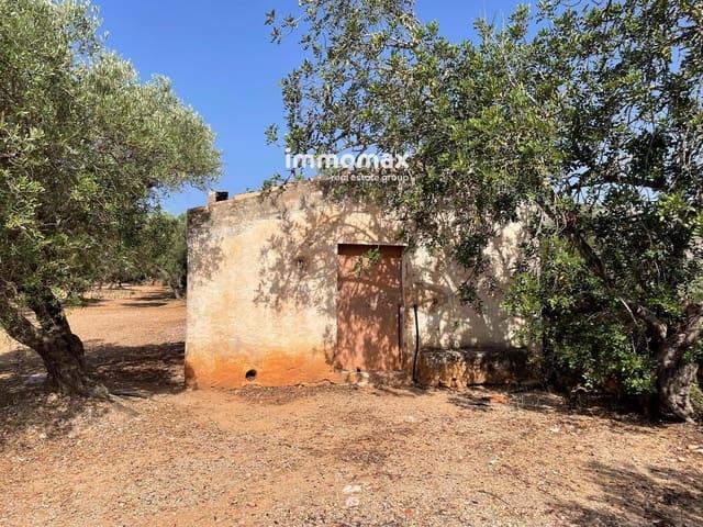 Terreno/Finca Rústica en venta en Xerta, Tarragona
