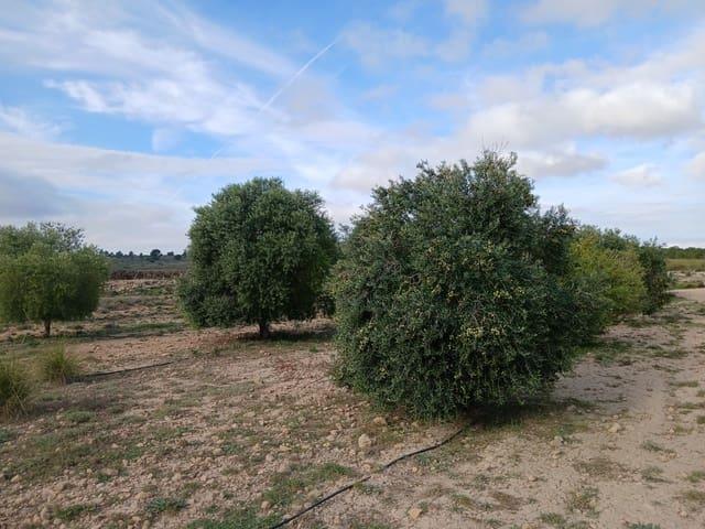 Terreno/Finca Rústica en venta en Yecla, Murcia