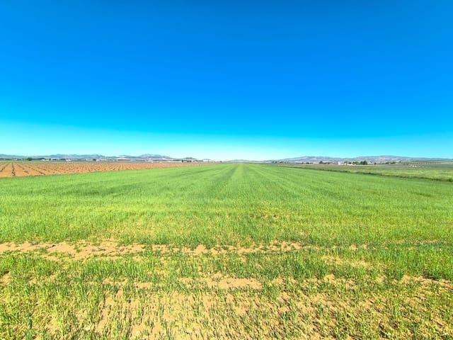 Terreno/Finca Rústica en venta en Yecla, Murcia