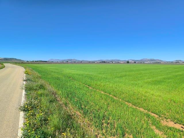 Terreno/Finca Rústica en venta en Yecla, Murcia