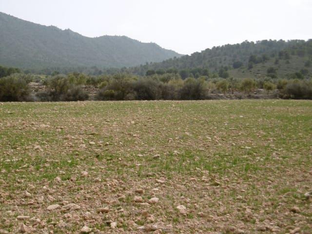 Terreno/Finca Rústica en venta en Yecla, Murcia