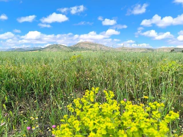 Terreno/Finca Rústica en venta en Yecla, Murcia