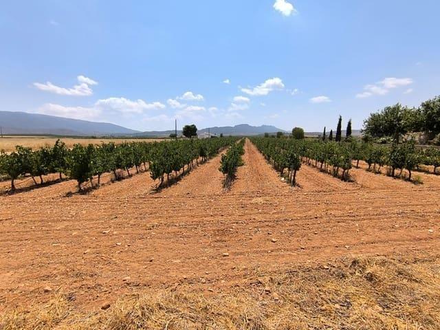 Terreno/Finca Rústica en venta en Yecla, Murcia