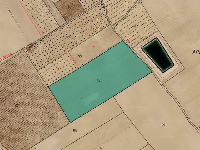 Terreno/Finca Rústica en venta en Yecla, Murcia