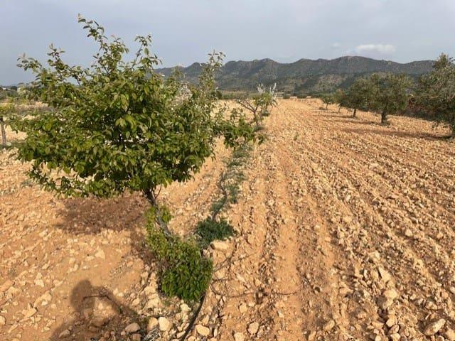 Terreno/Finca Rústica en venta en Yecla, Murcia