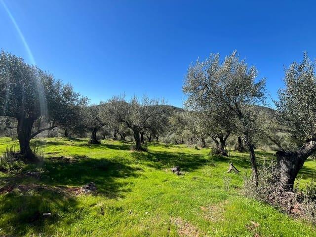 Terreno/Finca Rústica en venta en Zufre, Huelva