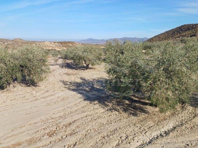 Terreno/Finca Rústica en venta en Zurgena, Almería