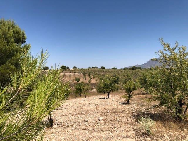 Terreno/Finca Rústica en venta en Abanilla, Murcia