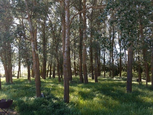Terreno/Finca Rústica en venta en Aguilar de Campos, Valladolid