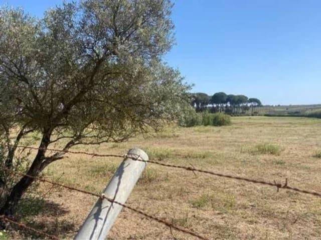 Terreno/Finca Rústica en venta en Almonte, Huelva