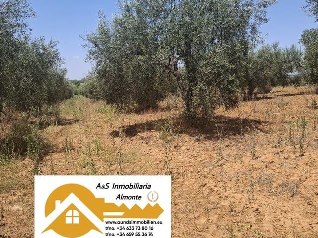 Terreno/Finca Rústica en venta en Almonte, Huelva