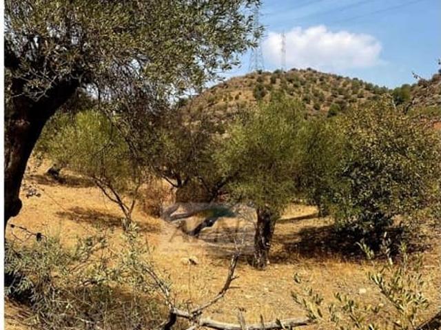 Terreno/Finca Rústica en venta en Alora, Málaga