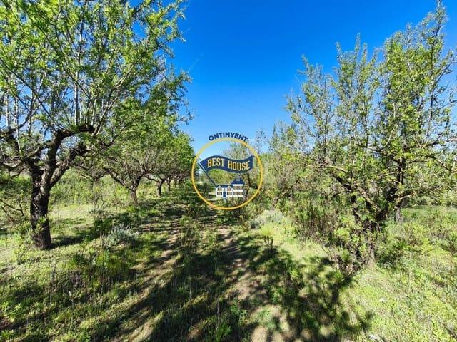 Terreno/Finca Rústica en venta en Albaida, Valencia