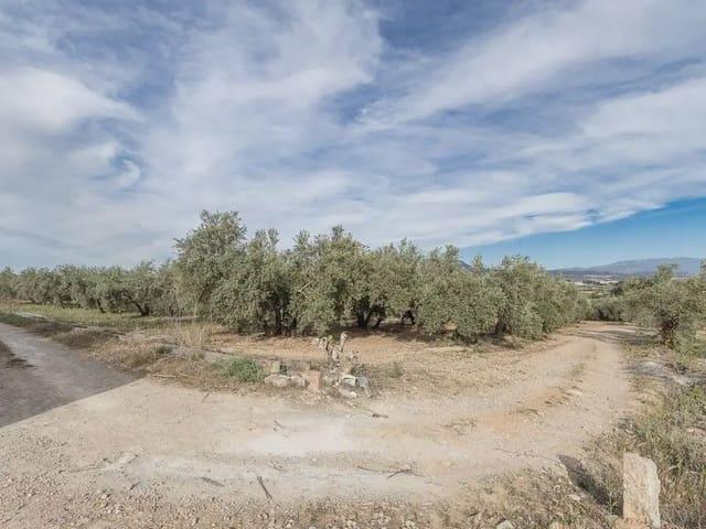 Terreno/Finca Rústica en venta en Albolote, Granada