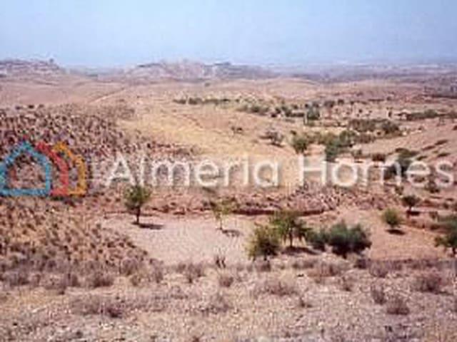 Terreno/Finca Rústica en venta en Albox, Almería