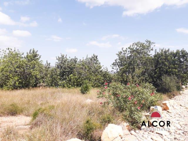 Terreno/Finca Rústica en venta en Alcalá de Xivert, Castellón Costa Azahar