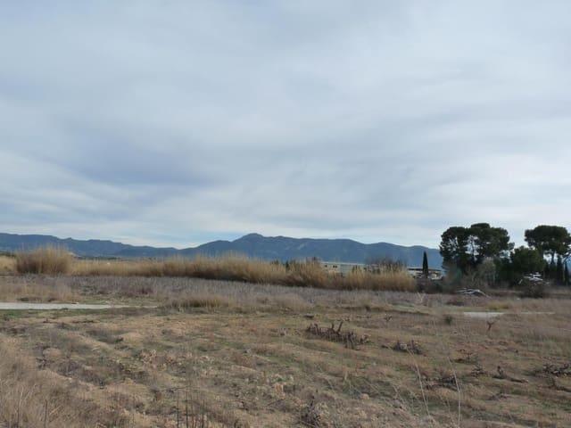 Terreno/Finca Rústica en venta en Alfarrasí, Valencia