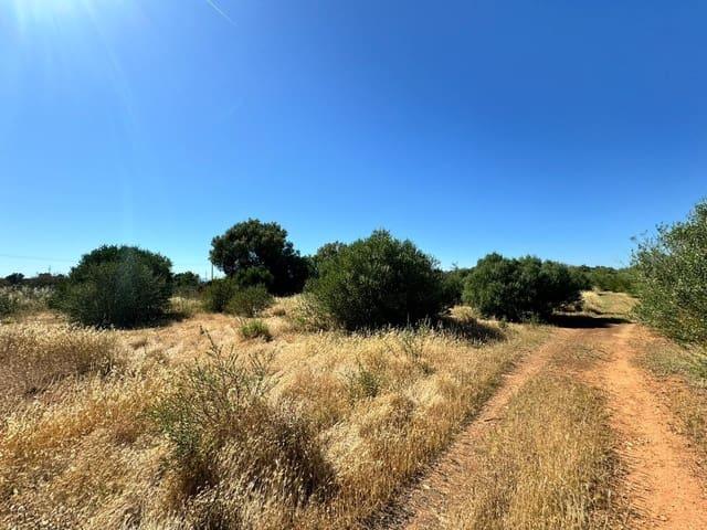 Terreno/Finca Rústica en venta en Algaida, Mallorca