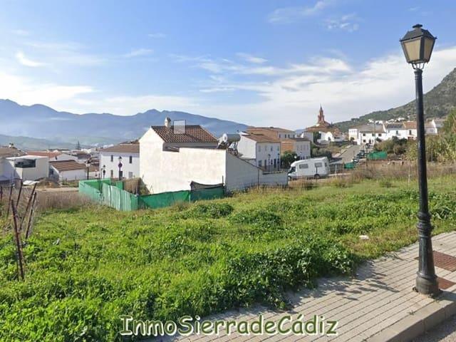 Terreno/Finca Rústica en venta en Algodonales, Cádiz