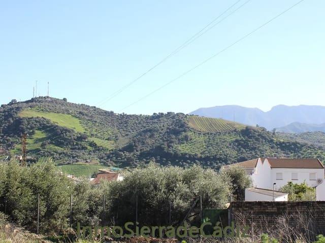 Terreno/Finca Rústica en venta en Algodonales, Cádiz