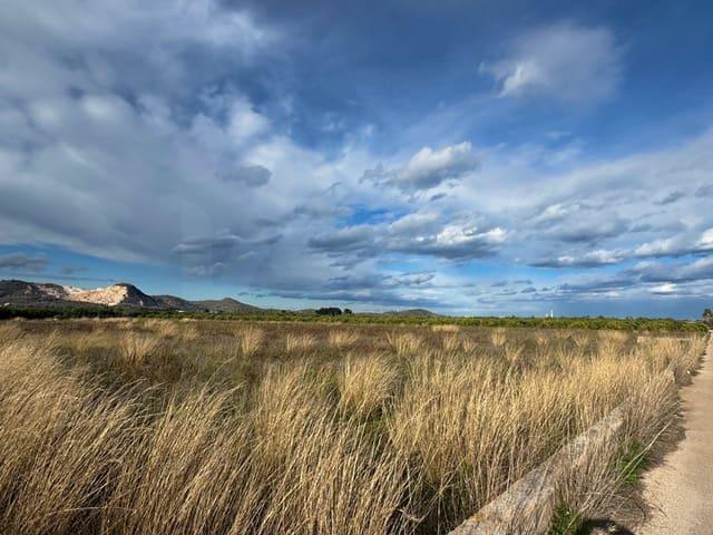 Terreno/Finca Rústica en venta en Alicante / Alacant, Alicante Costa Blanca