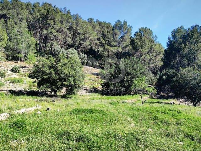 Terreno/Finca Rústica en venta en Murla, Alicante