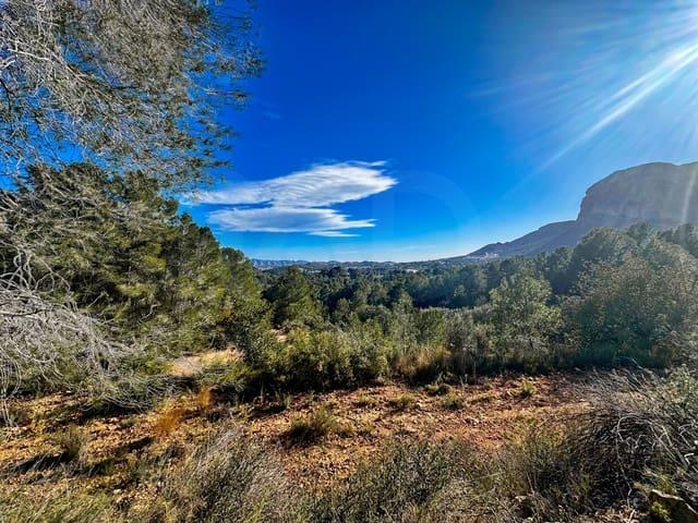 Terreno/Finca Rústica en venta en Alicante / Alacant, Alicante Costa Blanca