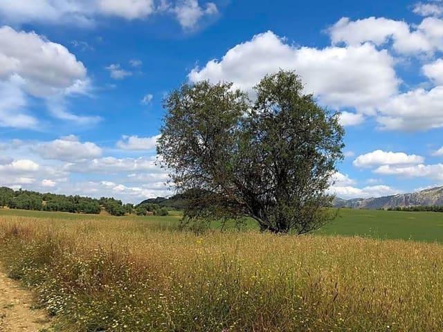 Terreno/Finca Rústica en venta en Antequera, Málaga
