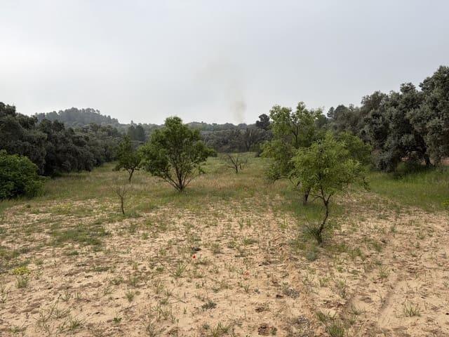Terreno/Finca Rústica en venta en Ascó, Tarragona