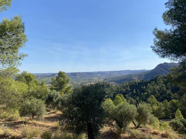 Terreno/Finca Rústica en venta en Ascó, Tarragona