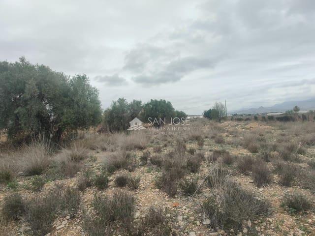 Terreno/Finca Rústica en venta en Aspe, Alicante